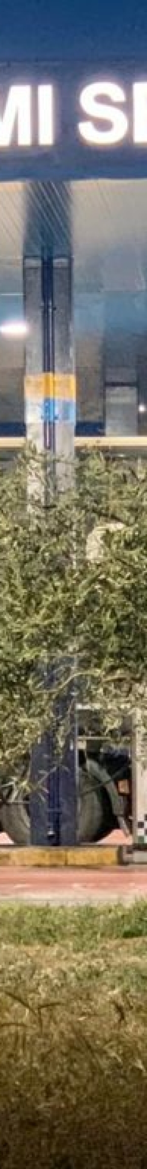 lametilla-del-mar-1024x768